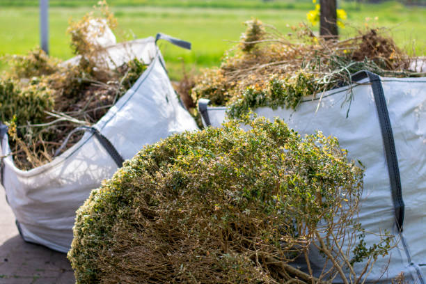 Best Trash Removal Near Me  in Johnsonburg, PA